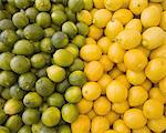 Lemons and limes, citrus fruits, divided into two piles, contrasting in colour.