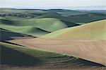 A view over green rolling hills and farmed fields.