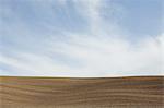 A ploughed field, and rolling landscape.