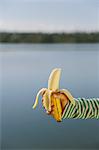 Nine year old girl holding organic, peeled banana