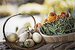 Organic Vegetable on Display; Organic White Eggplant; Green Beans; Yellow and Red Bell Peppers