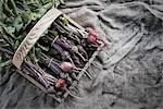 Organic Assorted Beets with stems just harvested