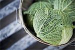 Organic Cabbages just harvested