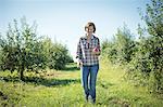 A woman in a plaid shirt picking apples in the orchard at an organic fruit farm.