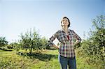 A woman in a plaid shirt picking apples in the orchard at an organic fruit farm.