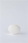 A single free range organic egg with a white shell against a white background.