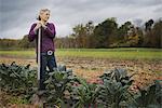 Organic Farmer at Work. A woman leaning on a hoe among a line of cabbages.