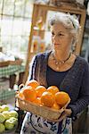 Organic Farmer at Work. A woman carrying a box of large oranges.