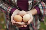 A woman holding a clutch of freshly laid hen's eggs.
