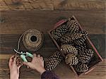 A person using secateurs or cutters on string. A box of pine cones.