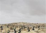 Oil rigs and wells in the Midway-Sunset shale oil fields, the largest in California