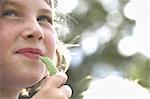 A child, a young girl eating a freshly picked organic snap pea in a garden.