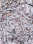 A pile of long thin shredded pieces of printed newspapers.