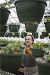 Spring growth in an organic plant nursery. A man in a glasshouse planting containers.