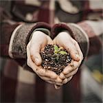 A person in a commercial glasshouse, holding a small plant seedling in soil in her cupped hands.