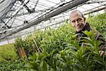 A man working in an organic plant nursery glasshouse in early spring.