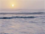 Olympic National park. View out over the sea and gentle swell in the waters off the shore. Sunset. Sun sinking below the horizon.