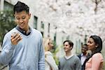 City life in spring. Young people outdoors in a city park. A man checking his cell phone. Four people under a tree in blossom.