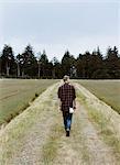 A cranberry farm in Massachusetts. Crops in the fields. A young man working on the land, harvesting the crop.