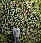 Outdoors in the city in spring. An urban lifestyle. A man looking up at a high wall covered in climbing plants and foliage.