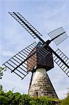 Windmill, moulin a vent, at La Herpiniere near Saumur, Loire Valley, France