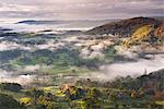 Patches of morning mist float above countryside near the River Brathay in autumn, Lake District National Park, Cumbria, England, United Kingdom, Europe