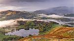 Mist covered landscape surrounding Loughrigg Tarn in autumn, Lake District, Cumbria, England, United Kingdom, Europe