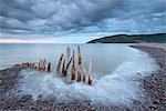 Wooden sea defences at Bossington Beach, Exmoor, Somerset, England, United Kingdom, Europe