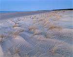 Twilight at the dunes and beach at Holkham Bay, Norfolk, England, United Kingdom, Europe