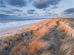 Lovely winter evening light on the dunes and beach at Brancaster, Norfolk, England, United Kingdom, Europe