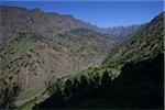 Valley of Los Bujanos, Caldera de Taburiente National Park, La Palma, Santa Cruz de Tenerife, Canary Islands