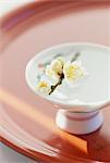 Cherry blossoms on sake cup
