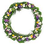 Wildflower wreath with spring flowers and blossom over white background.