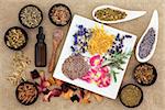 Herbal medicine selection also used in pagan witches magical potions over old paper background.