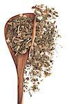 Borage herb used in herbal medicine in a wooden spoon over white background.