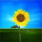 abstract grunge floral illustration with sunflower and blue sky