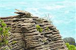 Detail of pancake rock in Punakaiki, Paparoa national park, New Zealand