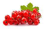 Red Currant close up isolated on white