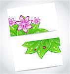 Illustration set of eco friendly cards with green leaves, concept design  - vector