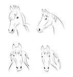 Illustration set symbols outline head horse isolated on white background - vector