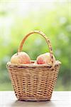 gala apples in the basket on old table, vintage toned photo