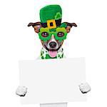 st patricks  day dog holding a blank banner