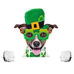 st patricks  day dog  behind blank banner