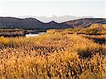 A view of the Rio Grande within Big Bend National Park, Texas.