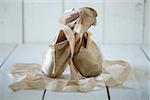 Romantic Posed Pointe Shoes in Natural Light