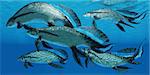 Scaumenacia is an extinct genus of prehistoric lobe-finned fish from the Devonian period.