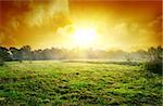 Sunset over the meadow in a forest