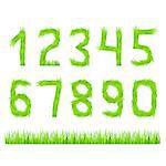 Numbers made of green grass, vector eps10 illustration