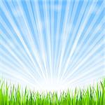 Green grass and shining sun, vector eps10 illustration