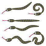 colorful illustration with  set of snakes for your design